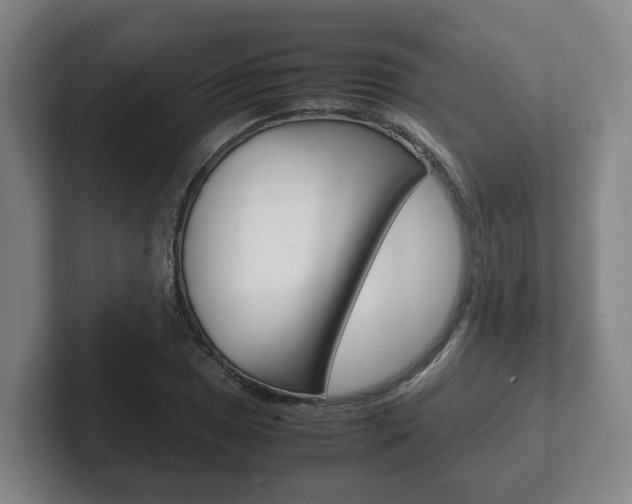X0000102271025200807250853
