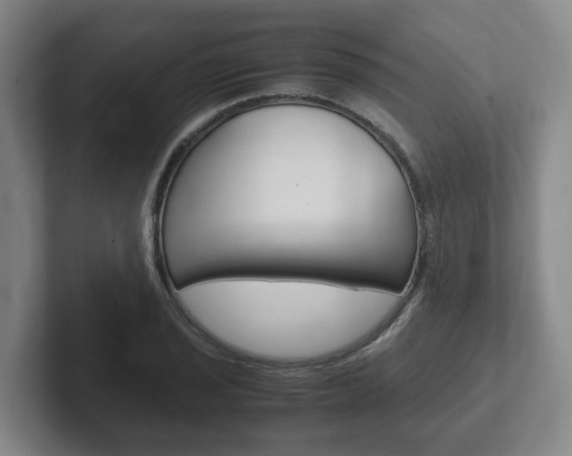 X0000102271029200807250853