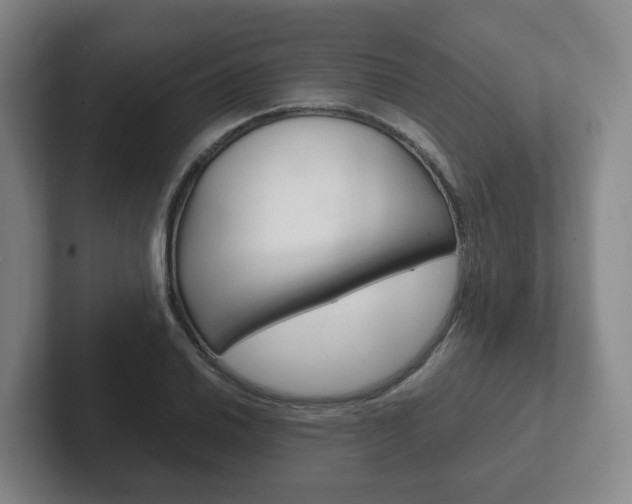X0000102271030200807250853