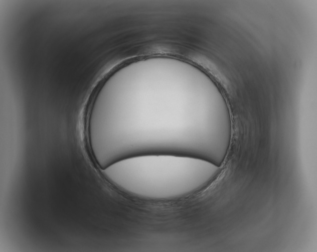 X0000102271031200807250853