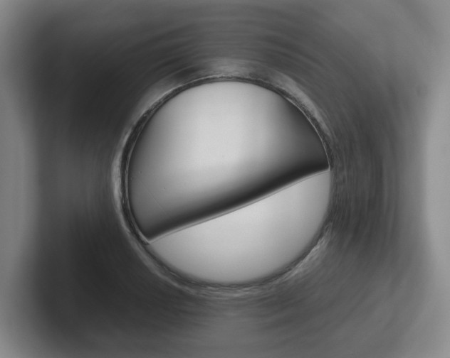X0000102271034200807250854