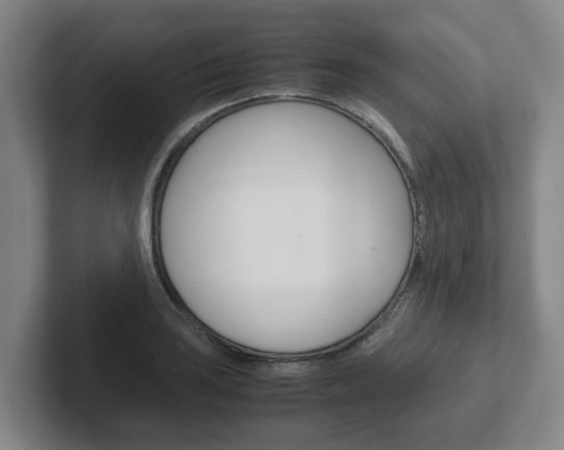 X0000102271035200807250854
