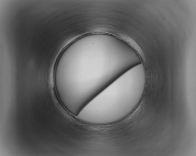 X0000102271036200807250854