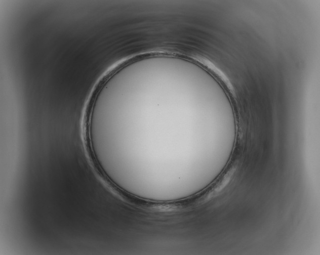X0000102271037200807250854