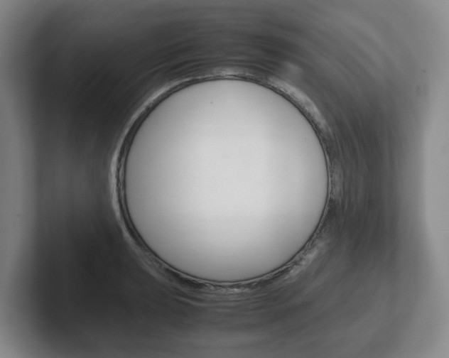 X0000102271039200807250854