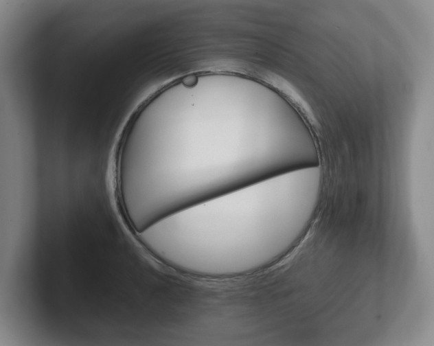 X0000102271040200807250854