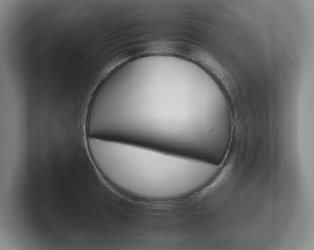 X0000102271041200807250854