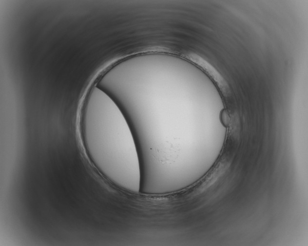 X0000102271043200807250854