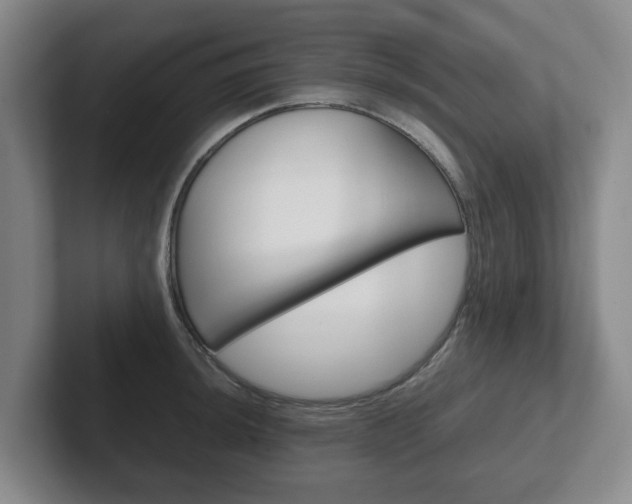 X0000102271044200807250854