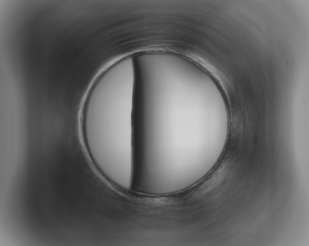 X0000102271045200807250854