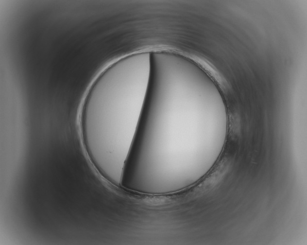 X0000102271046200807250854