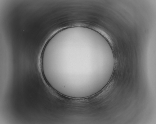 X0000102271047200807250854