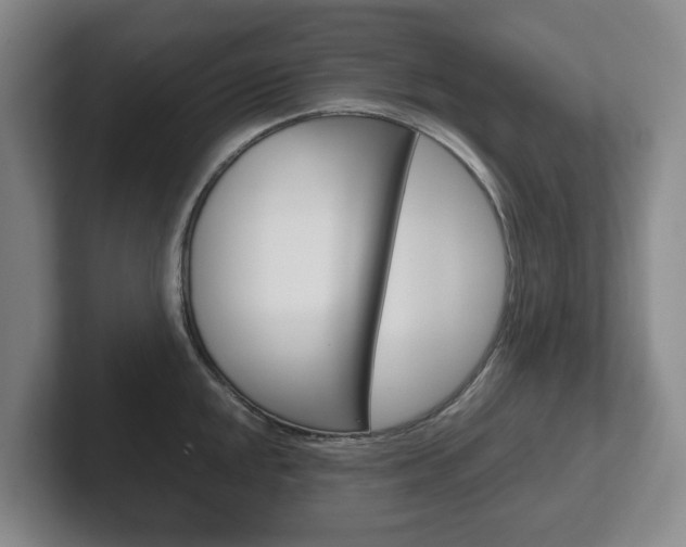 X0000102271048200807250854