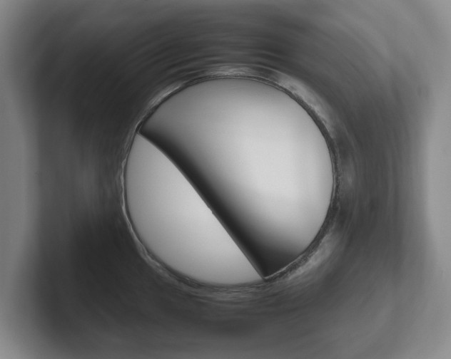 X0000102271049200807250854