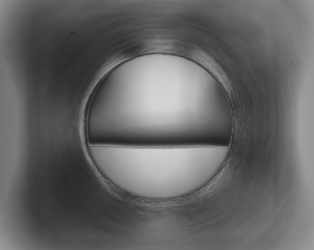 X0000102271050200807250854