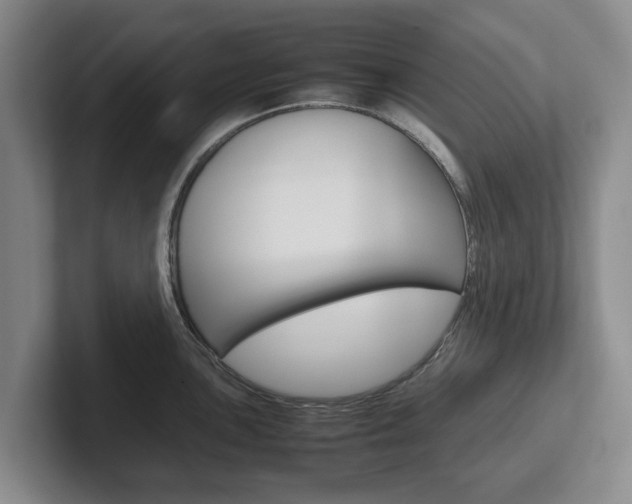 X0000102271051200807250854