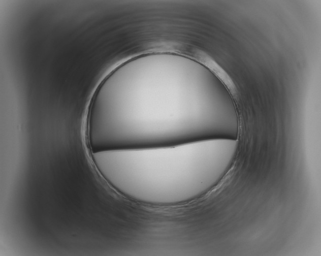X0000102271052200807250854