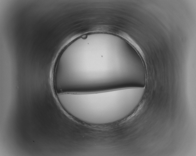 X0000102271053200807250854