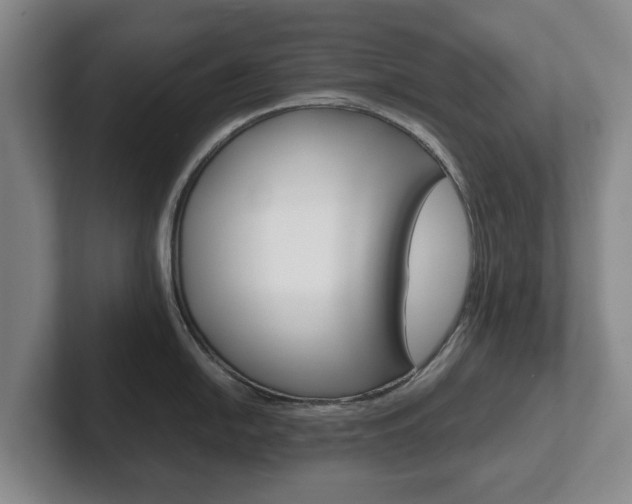 X0000102271054200807250854