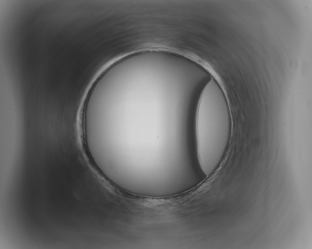X0000102271056200807250854