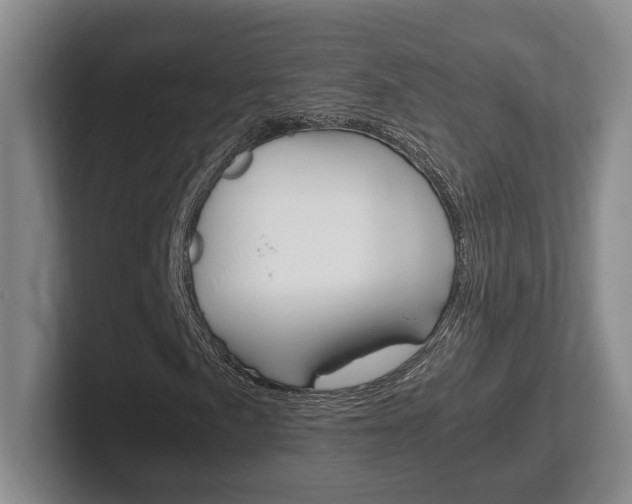 X0000102271057200807250853
