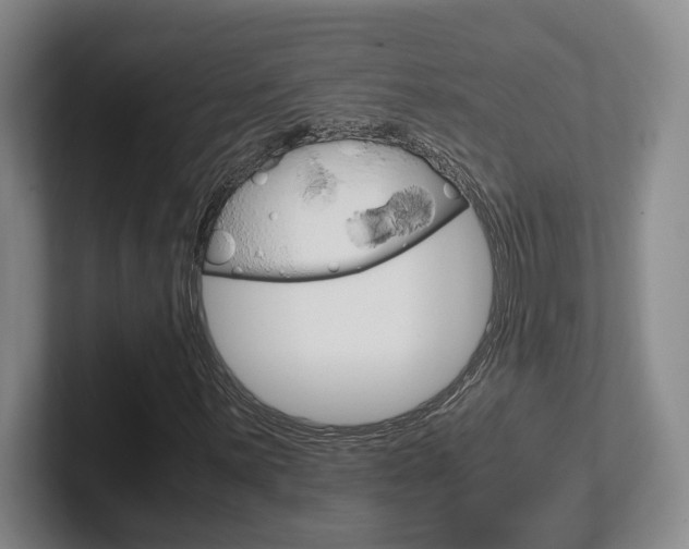 X0000102271059200807250853