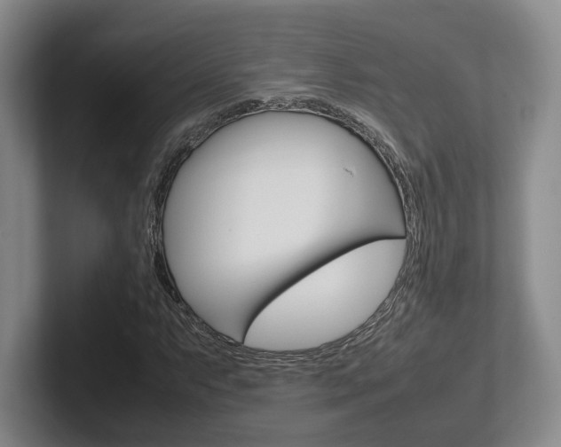 X0000102271063200807250853