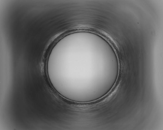 X0000102271066200807250853