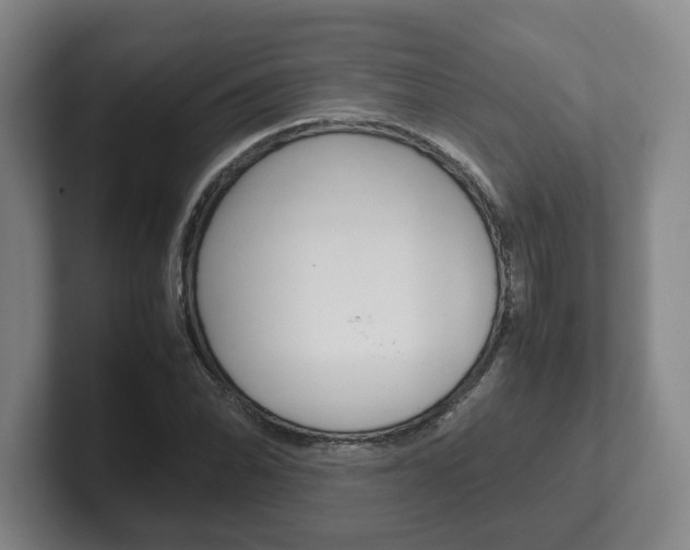 X0000102271070200807250853