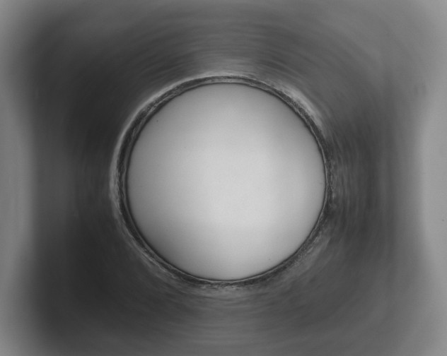 X0000102271072200807250853
