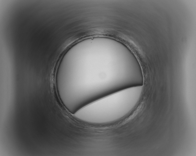 X0000102271073200807250853