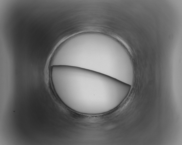 X0000102271075200807250853