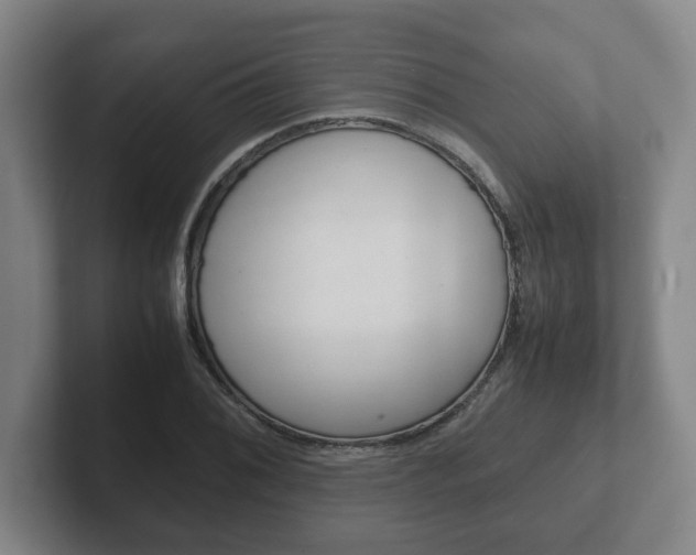 X0000102271076200807250853