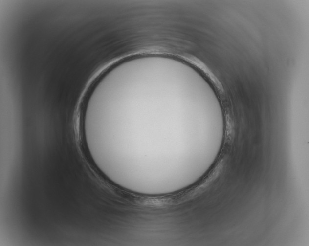X0000102271078200807250853