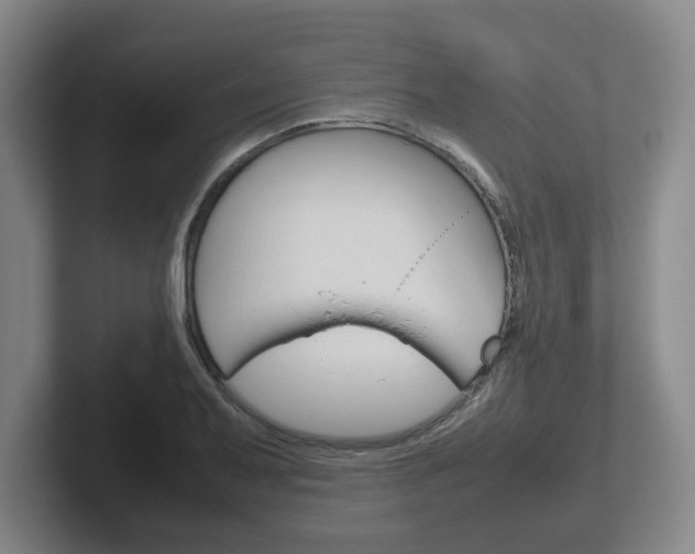 X0000102271079200807250853
