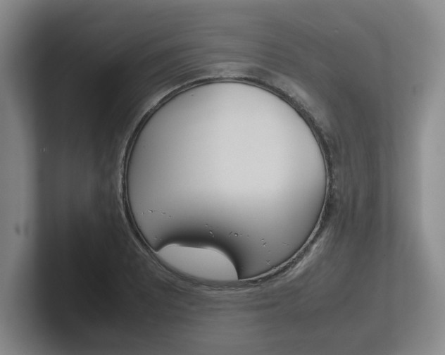 X0000102271081200807250853