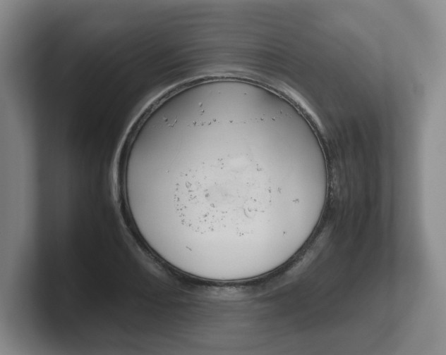 X0000102271082200807250853