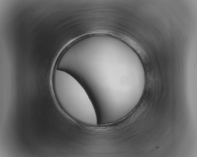 X0000102271084200807250853