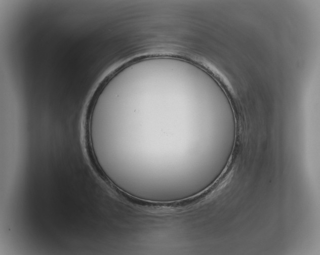 X0000102271085200807250853