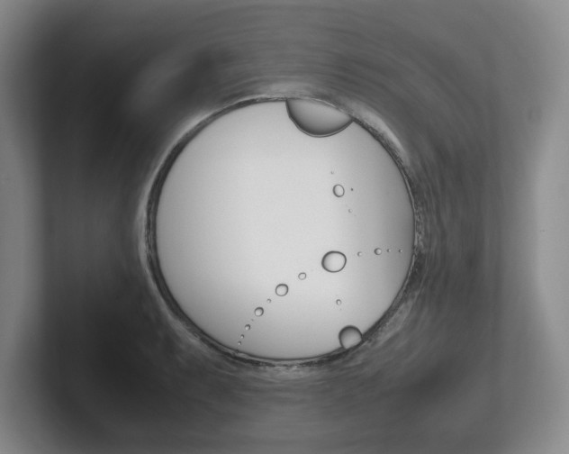 X0000102271087200807250853