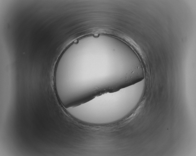 X0000102271089200807250853