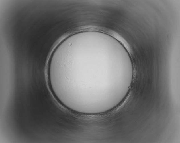 X0000102271090200807250853