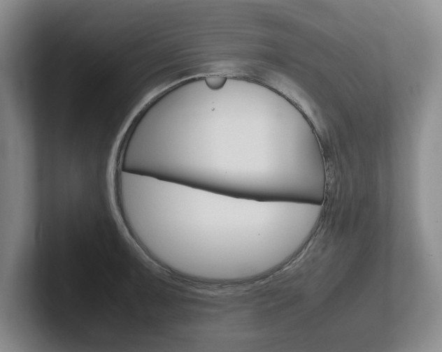 X0000102271091200807250853