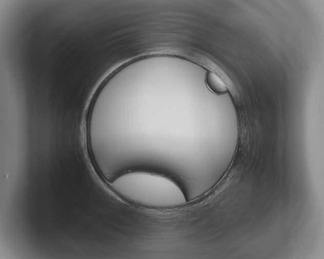 X0000102271092200807250853