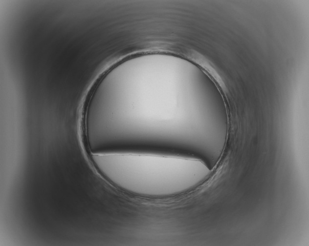 X0000102271093200807250853