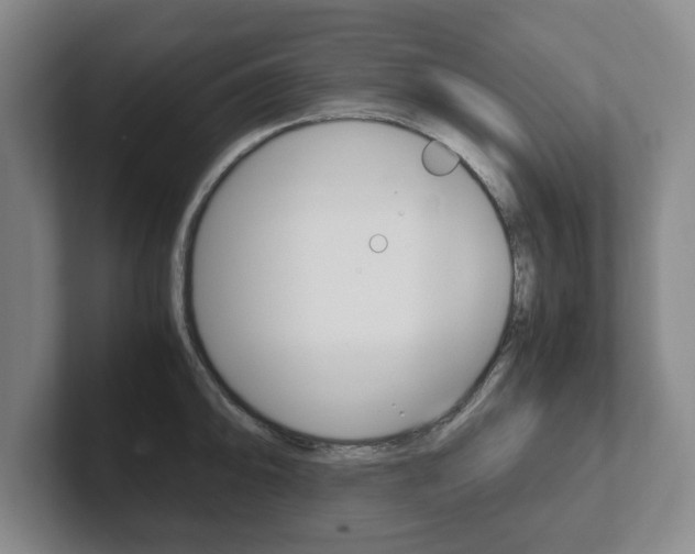 X0000102271094200807250853