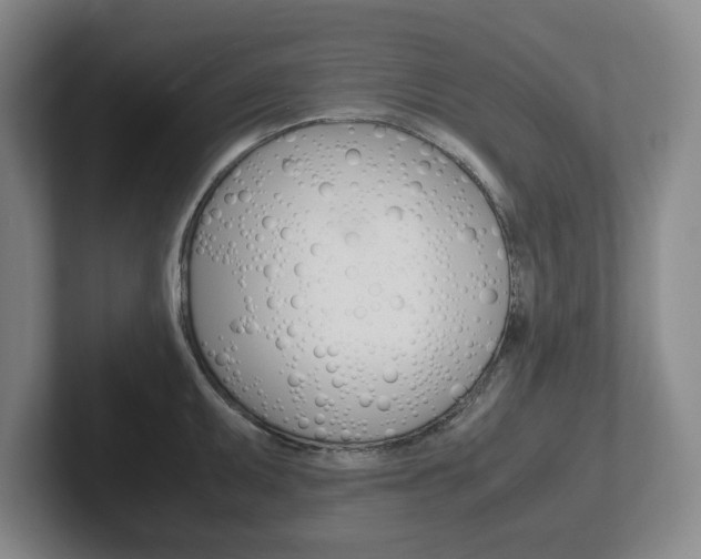 X0000102271095200807250853