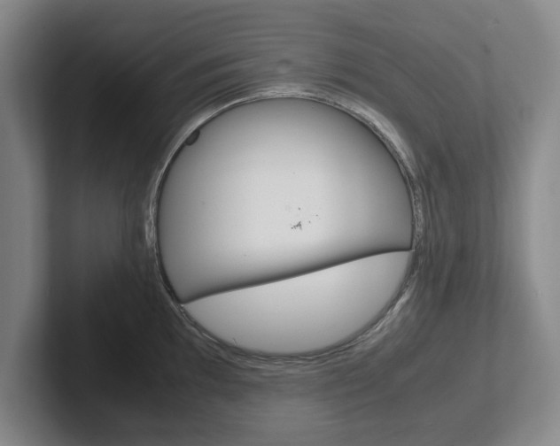 X0000102271097200807250853