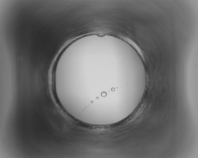 X0000102271099200807250853