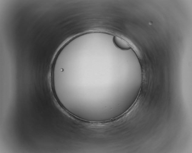 X0000102271100200807250853